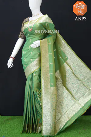 Apurva Nath Paithani