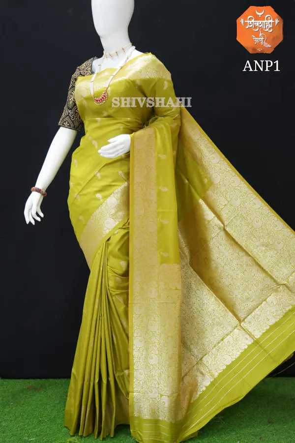 Apurva Nath Paithani