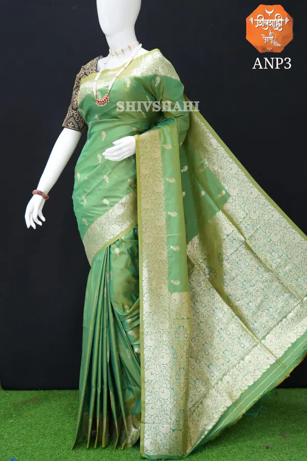 Apurva Nath Paithani